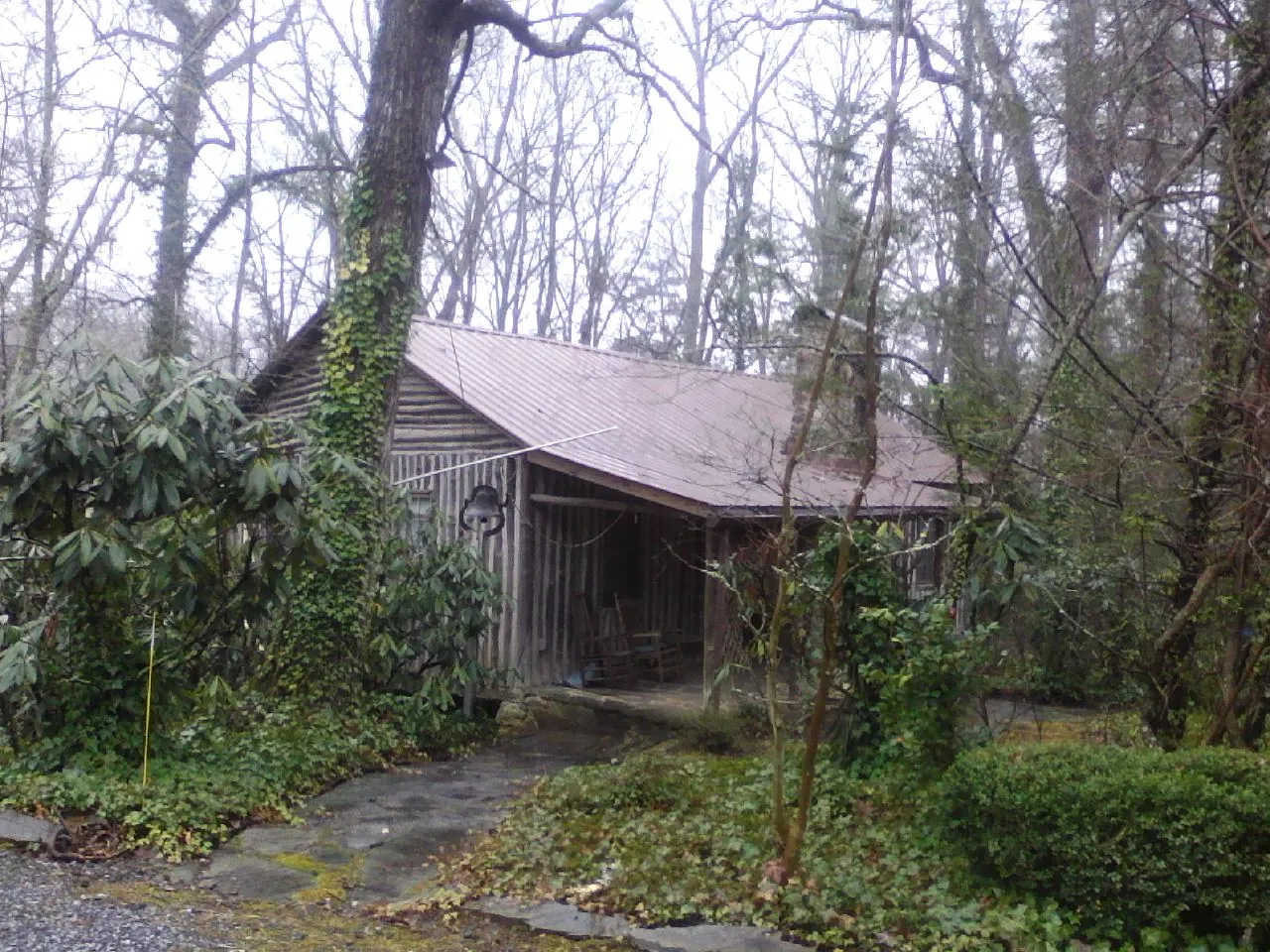 Weathered metal roof on an old board sided cabin in the woods in Stoneville