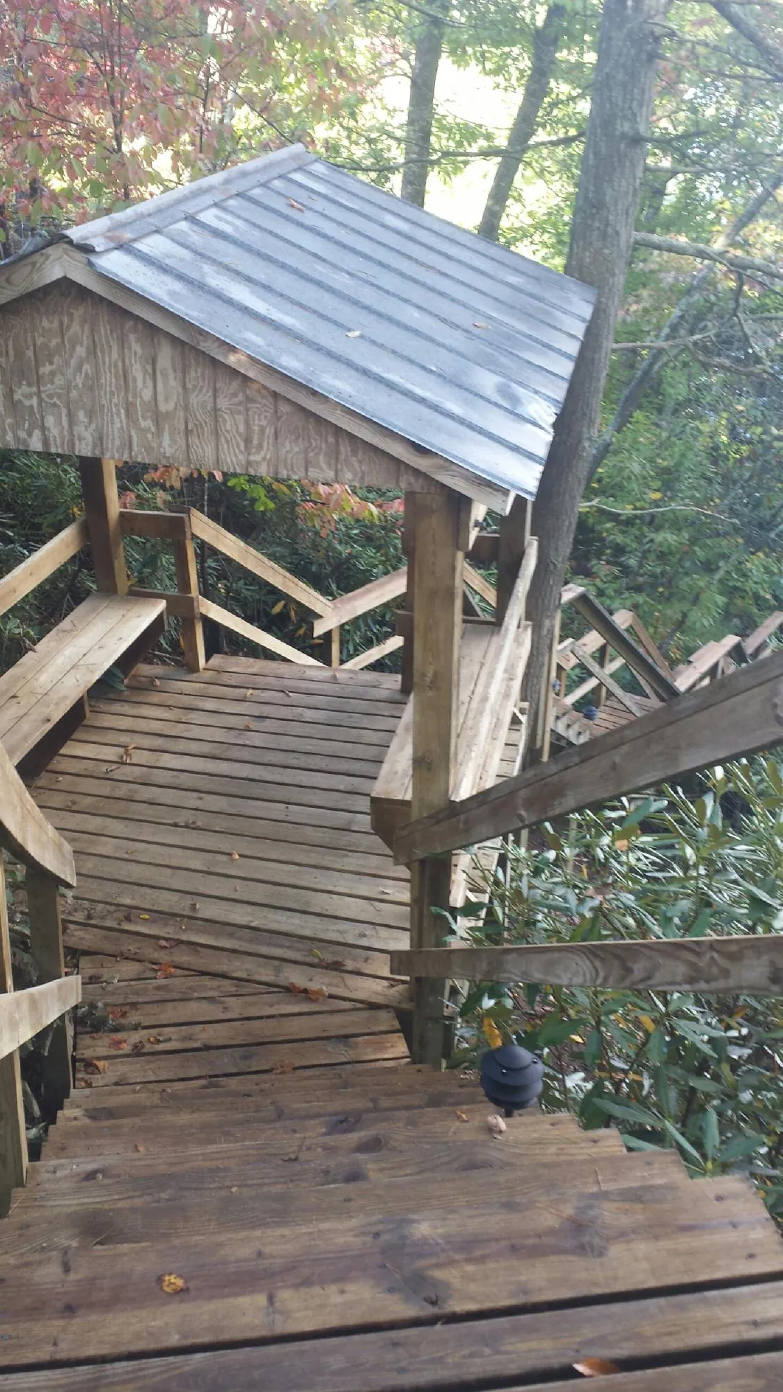 Metal roofed shelter over wooden steps on a wooded walkway — Skylight Repair & Installation work by our crew in Stoneville